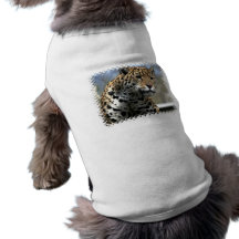 Leopard Cat Pet Shirt