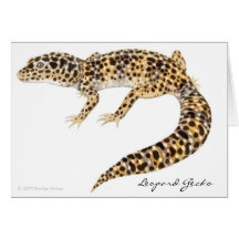 Leopard Gecko Card