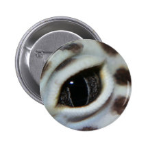 Leopard Gecko Eye Close Up Pinback Button