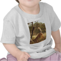 Leopard on Termite Mound in Namibia T Shirts