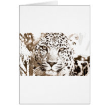 Leopard Portrait Cards