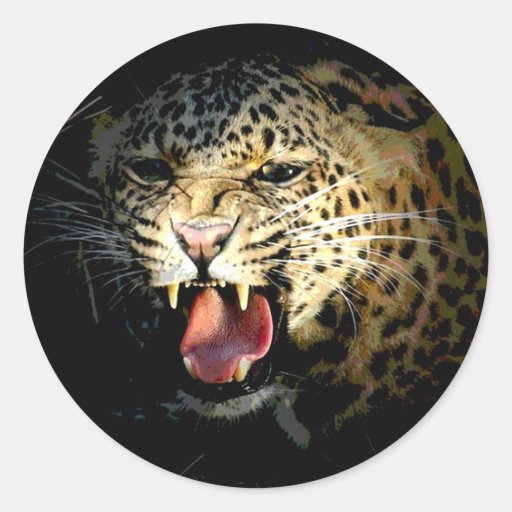 Leopard Sticker