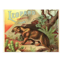 Leopard Tobacco 1900 Postcard