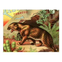 Leopard Tobacco Post Cards
