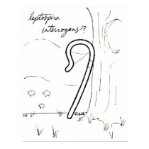 Leptospira Interrogans print posters