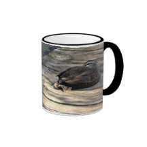 Let Sleeping Ducks Lie Coffee Mug