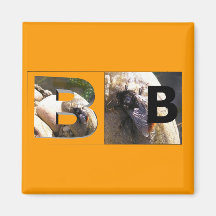 Letters - B - a bee Fridge Magnet