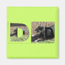 Letters - D - a dog Fridge Magnets