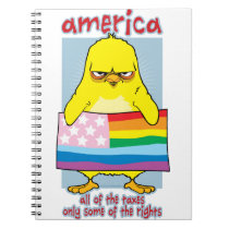 LGBTQ America notebooks