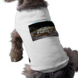 Lichen growing on rock doggie t shirt