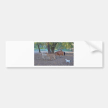 Life at the ranch bumper sticker
