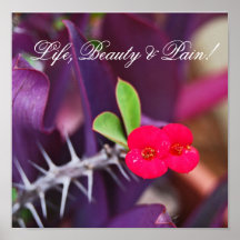 Life, Beauty & Pain! Poster