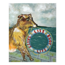 Life Buoy soap vintage advertising poster Photograph