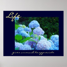 Life gives us much to Appreciate art print Floral