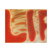 Life Graffitti Gallery Wrapped Canvas