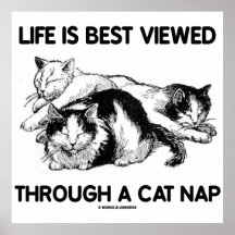 Life Is Best Viewed Through A Cat Nap (Three Cats) Print