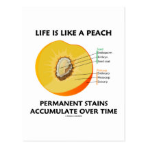 Life Is Like A Peach Permanent Stains Accumulate Postcard