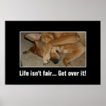 Life isn't fair to anyone you big crybaby [XL] Print