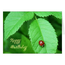 Life's Simple Pleasures-ladybug Cards