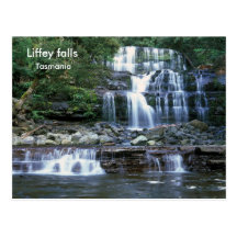 Liffey falls, Tasmania Postcard