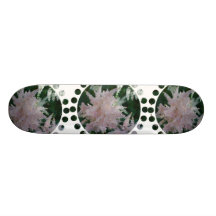 Light Pink Astilbe Flowers on Skateboard