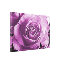Light Purple Rose in Bloom Canvas Art Stretched Canvas Print
