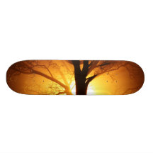 Light Skate Board Deck