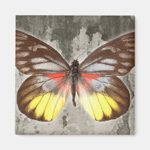 LIGHT WINGS FRIDGE MAGNETS