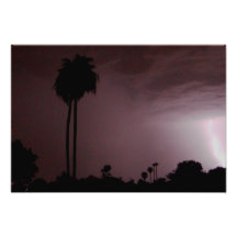 LIghtning No. 1 Photographic Print