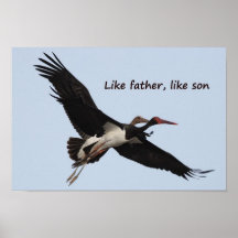 Like father, like son poster