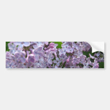 Lilac Bunches Bumper Stickers