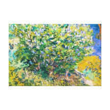 Lilac Bush by Vincent Van Gogh painting Gallery Wrapped Canvas
