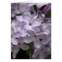 Lilac Card