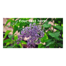 Lilac Customised Photo Card