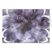 Lilac Flowers Greeting Card