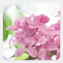 Lilac Flowers In The Morning Sunlight Square Stickers