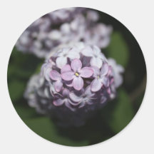 Lilac Flowers Sticker