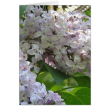 Lilac Greeting Card
