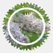 Lilac Sticker