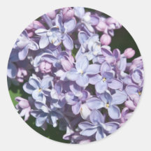 Lilac Stickers