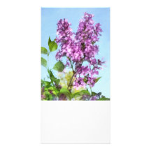Lilacs Against the Sky Customized Photo Card
