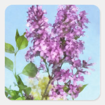 Lilacs Against the Sky Stickers