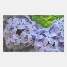 Lilacs in Full bloom Rectangle Sticker