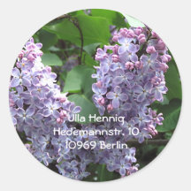 Lilacs Sticker