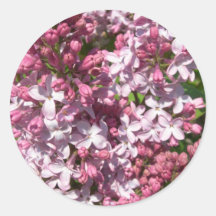 Lilacs Stickers