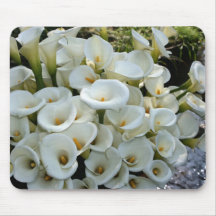 Lilies at Calla Lily Plantation, Taiwan Mousepad