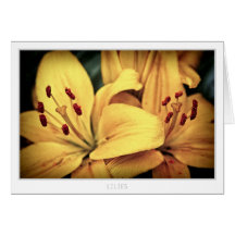 lilies card