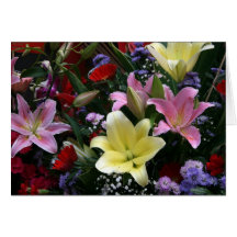 Lilies Cards