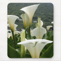 Lilies growing at Calla Lily Plantation, Taiwan Mousepad