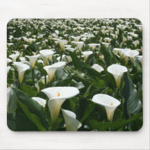 Lilies growing at Calla Lily Plantation, Taiwan Mouse Pads